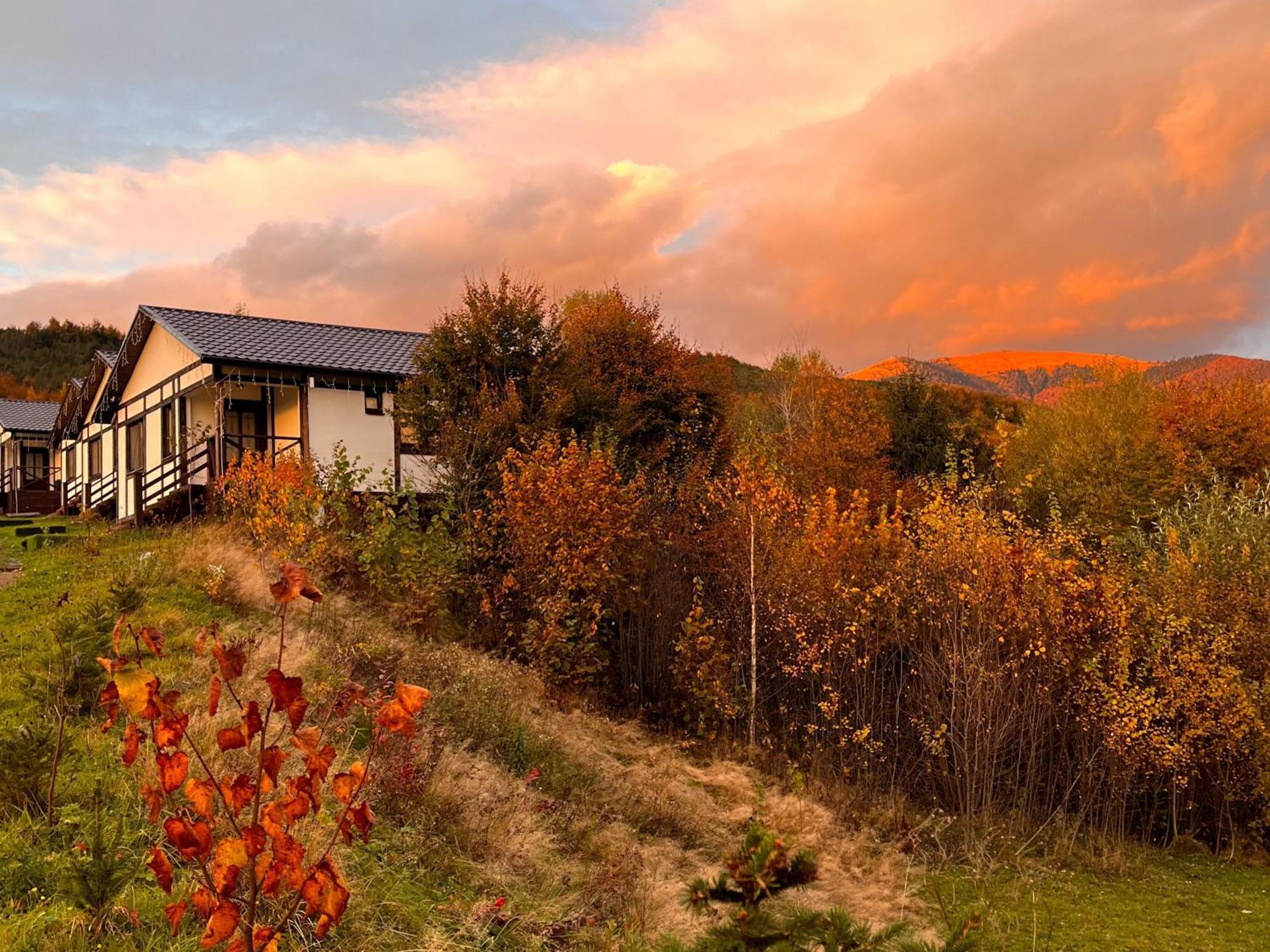 Kolochava Eco Resort エクステリア 写真