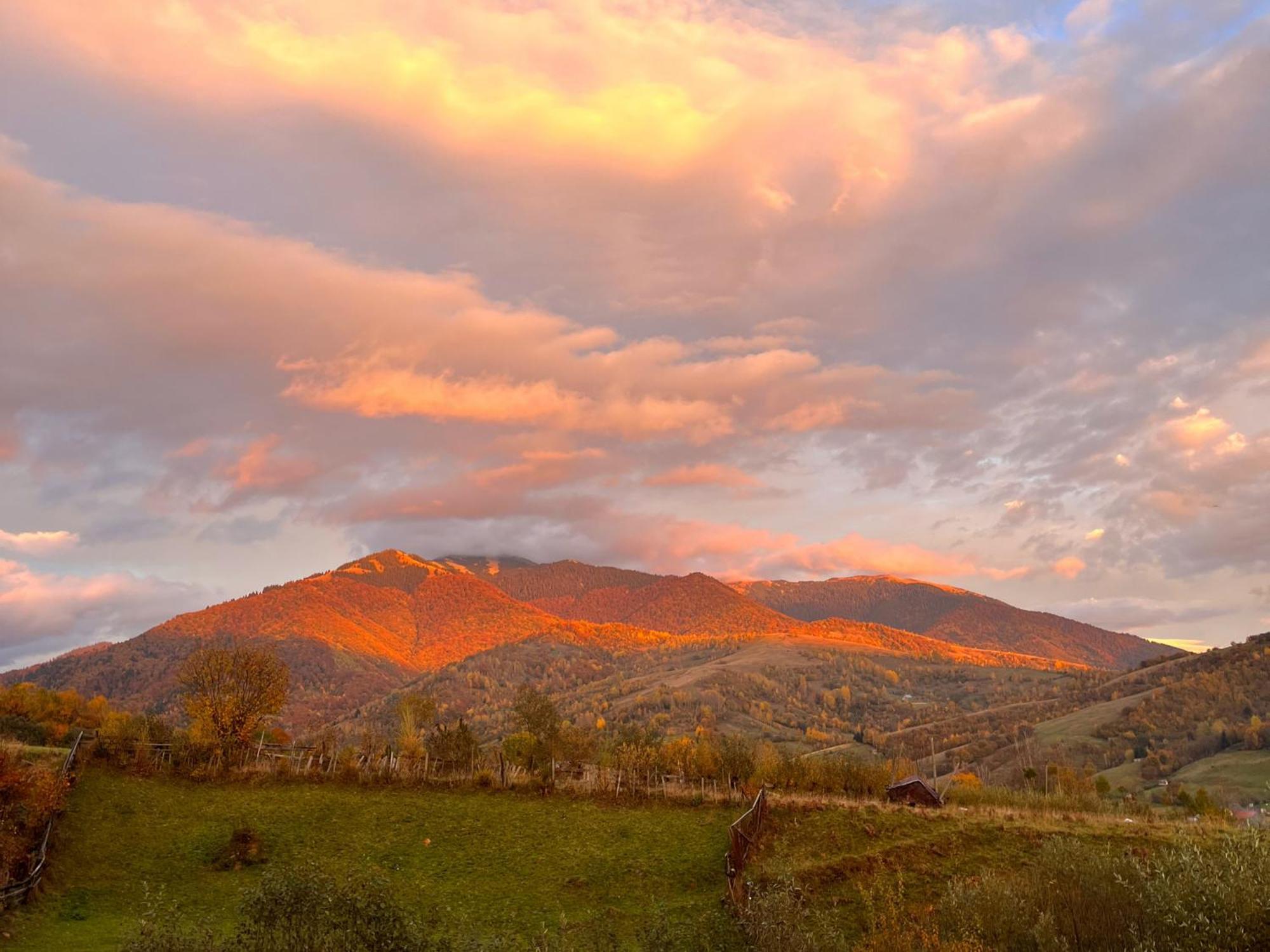 Kolochava Eco Resort エクステリア 写真