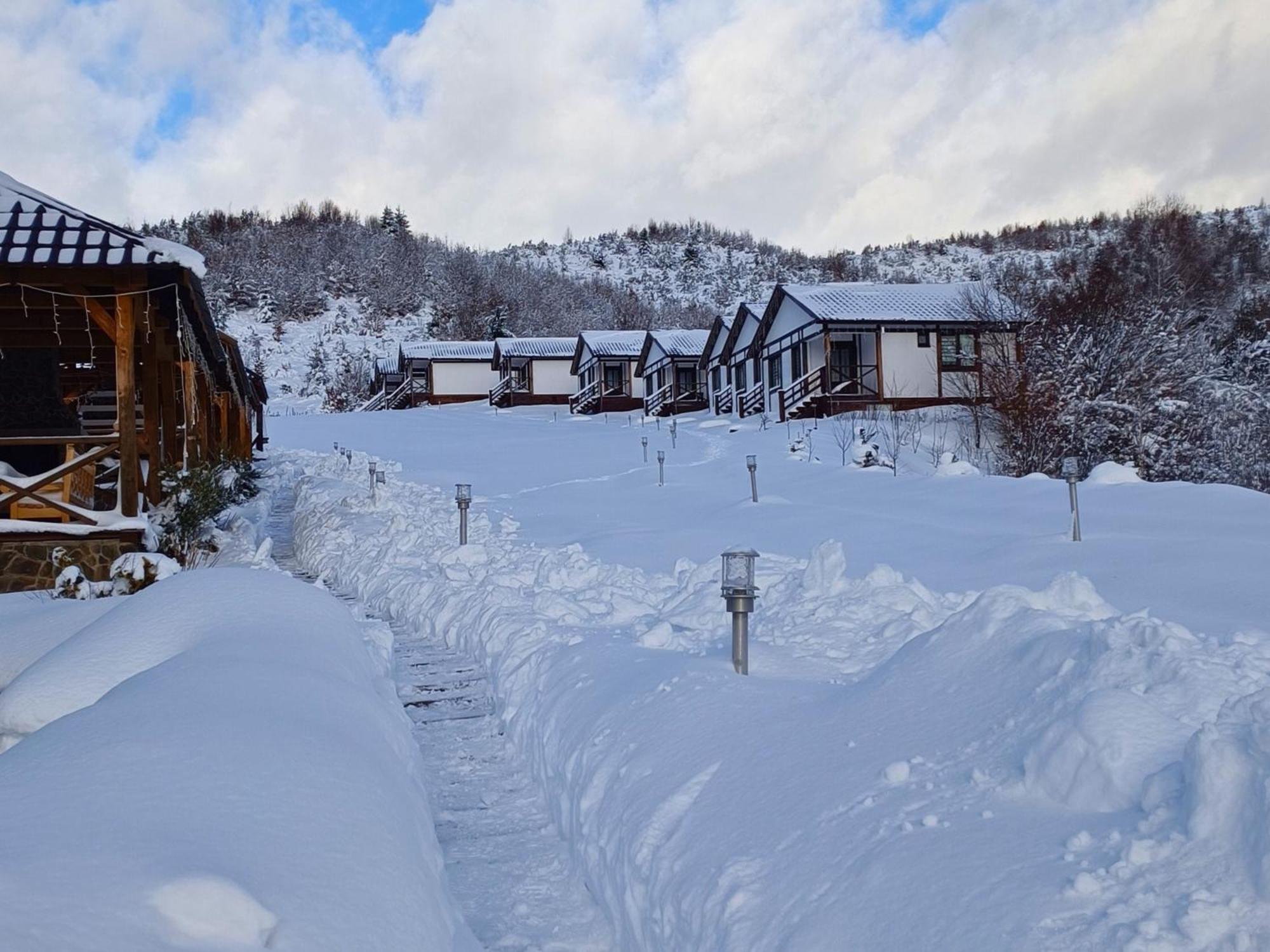 Kolochava Eco Resort エクステリア 写真
